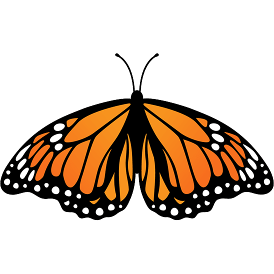 Name Your Own Butterfly