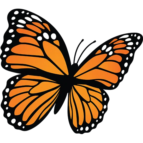 Female Monarch